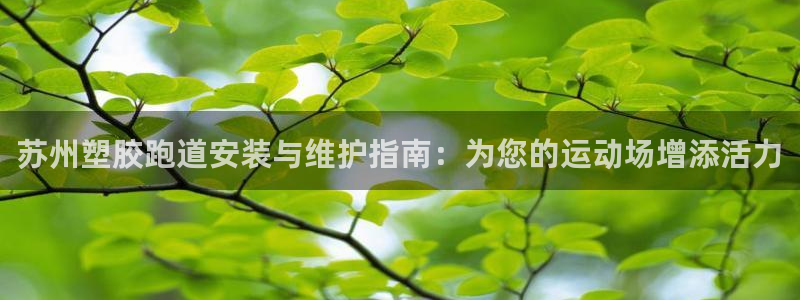 谈球吧网页版：苏州塑胶跑道安装与维护指南：为您的运动