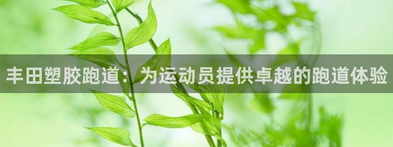 谈球吧体育app登陆