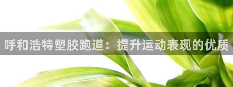 谈球吧官网app下载：呼和浩特塑胶跑道：提升运动表现的优质