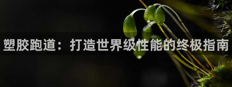 谈球吧体育app下载足球比赛：塑胶跑道：打造世界级性能的终极指南