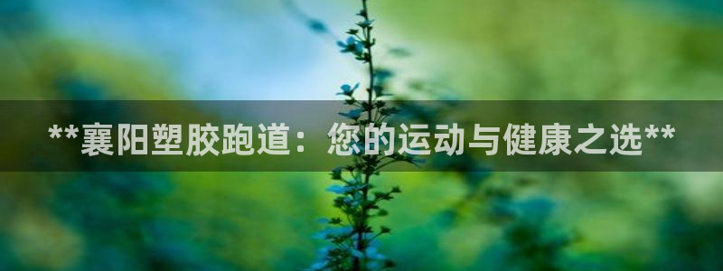 谈球吧体育app下载官网手机版安装：**襄阳塑胶跑道