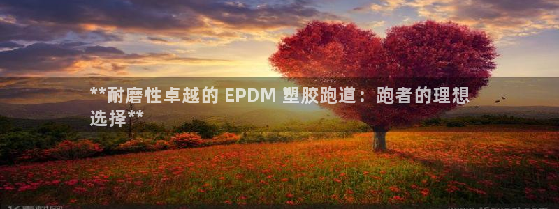 谈球吧是黑台子吗还是白台子：**耐磨性卓越的 EPD